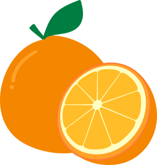 Orange Fruit Illustration